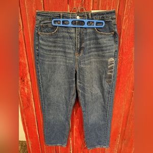 NWT American Eagle Mom Jeans